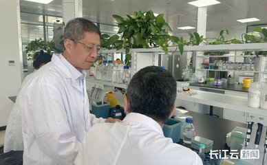 世界首创“稻米造血”生产线武汉投产，生物科技引领医疗新革命