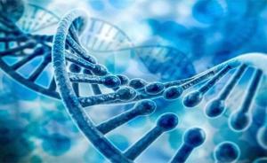 锐翌生物获近亿元A轮融资，鲁信创投领投加速生物研发新突破