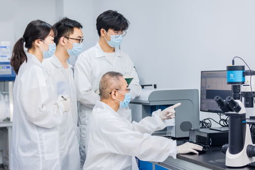 能精准猎杀癌细胞 武汉企业最新成果公布